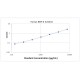 Human Bone Morphogenetic Protein 6 BMP6 ELISA Kit