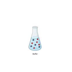 TRIS-Acetate Buffer, 1M, pH 7.0