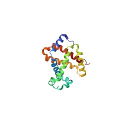 OxLDL, Oxidized Low Density Lipoprotein from Human Plasma