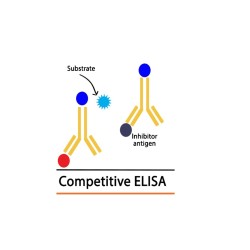 Dog/Canine Cartilage Oligomeric Matrix Protein COMP ELISA Kit