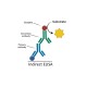 Mouse Adeno-Associated Virus (AAV) antibody ELISA Kit