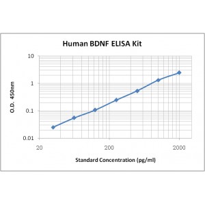 Human BDNF ELISA Kit