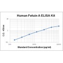 Human Fetuin A ELISA Kit
