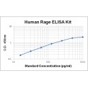 Human RAGE ELISA Kit