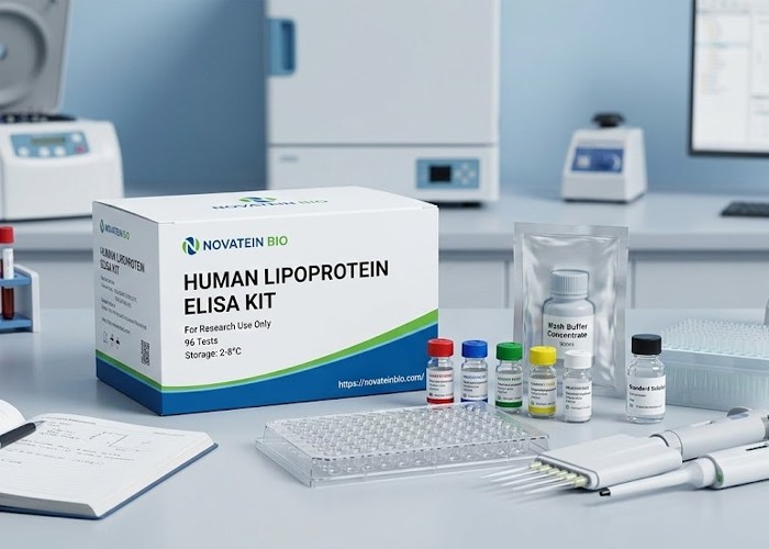 Human Lipoprotein ELISA Kit